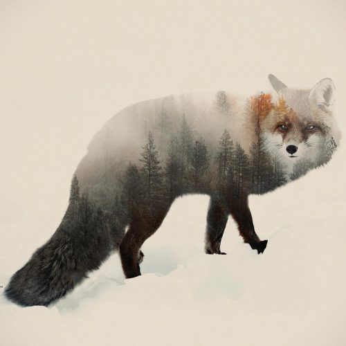 Double Exposure Animal & Landscape Portraits