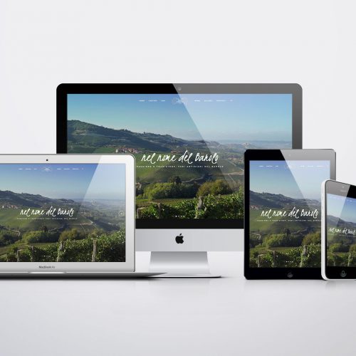 Paolo Conterno, Sito web